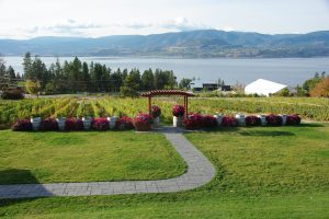 View from Summerhill Estate Winery (3)