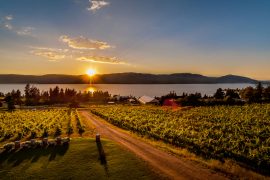 Sunset Dinner Escape