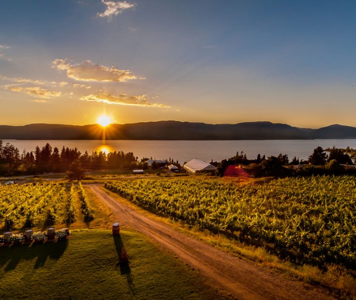 evening wine tours kelowna