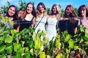 fun-in-the-vineyards