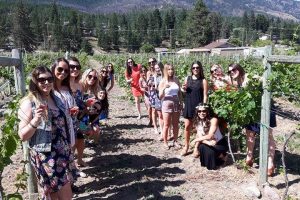 more-fun-in-the-vineyards