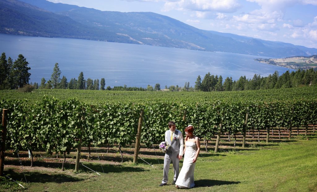 Weddings Altimate Club Wine Tours
